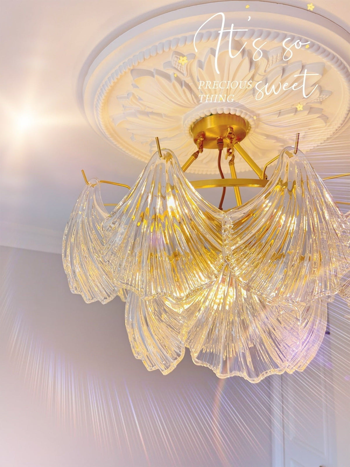 Ribbed Shell Ceiling Light