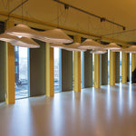 Rice Field Acoustic B Pendant Light