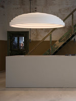 Rice Field Acoustic Pendant Light