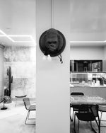 Rilla Wall Sconce - ailampplus