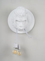 Rilla Wall Sconce - ailampplus