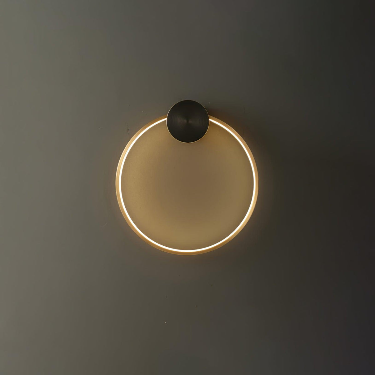 Ring Shaped Led Wall Light