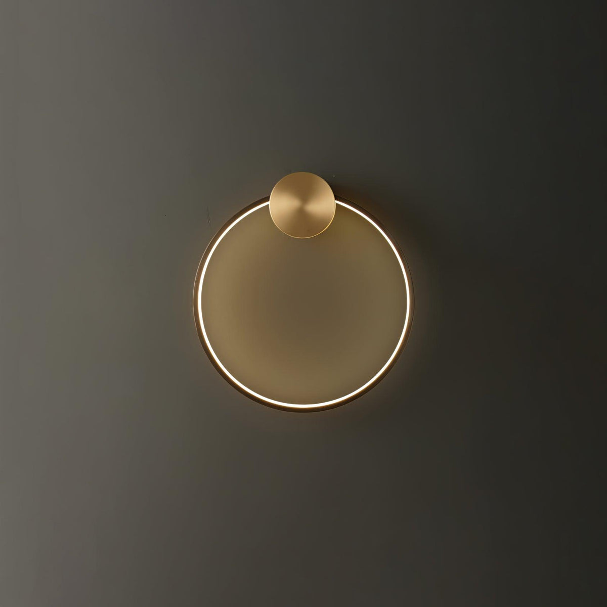 Ring Shaped Led Wall Light