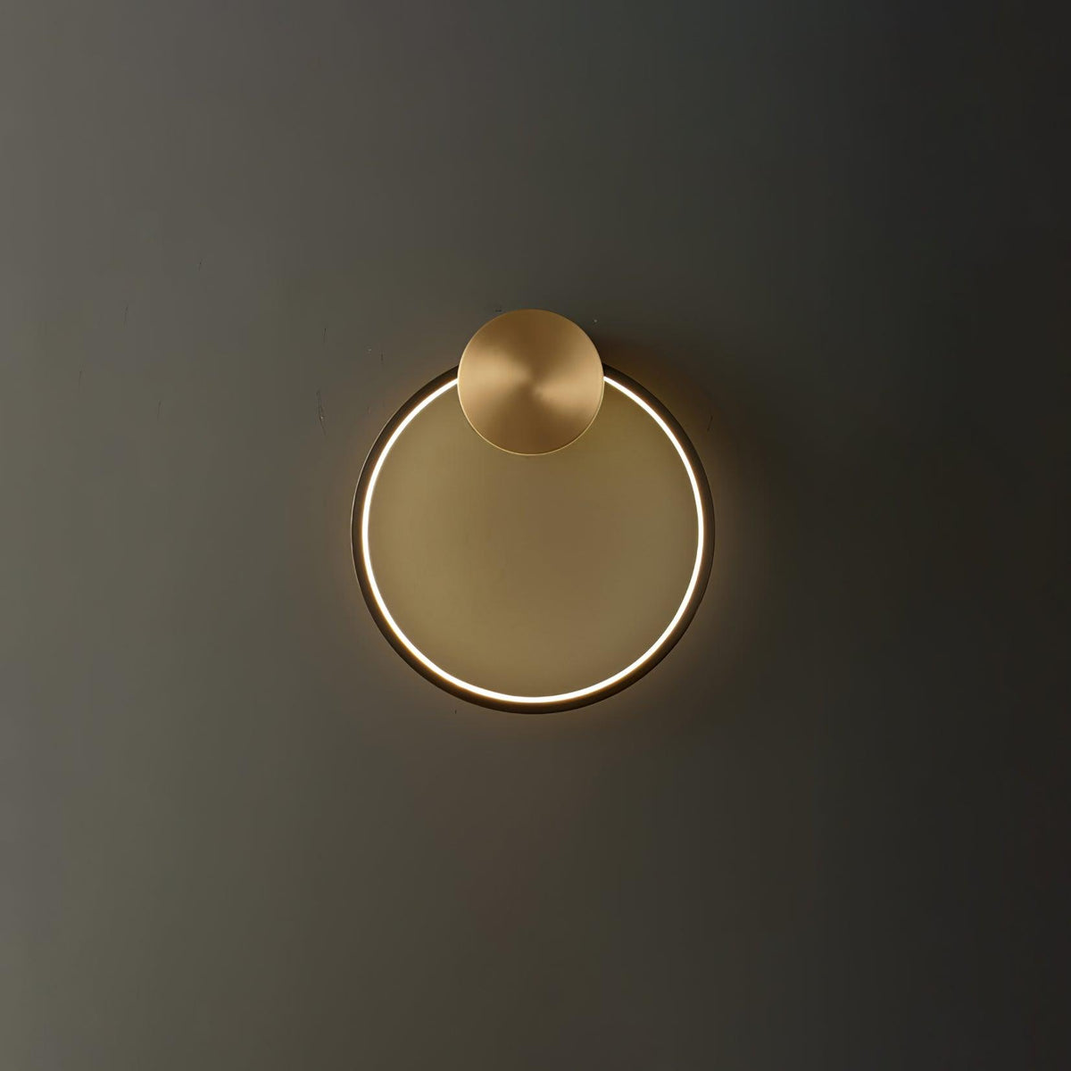 Ring Shaped Led Wall Light
