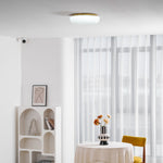 Ripple Glass Ceiling Light – Modern Flush Mount LED Fixture in Gold