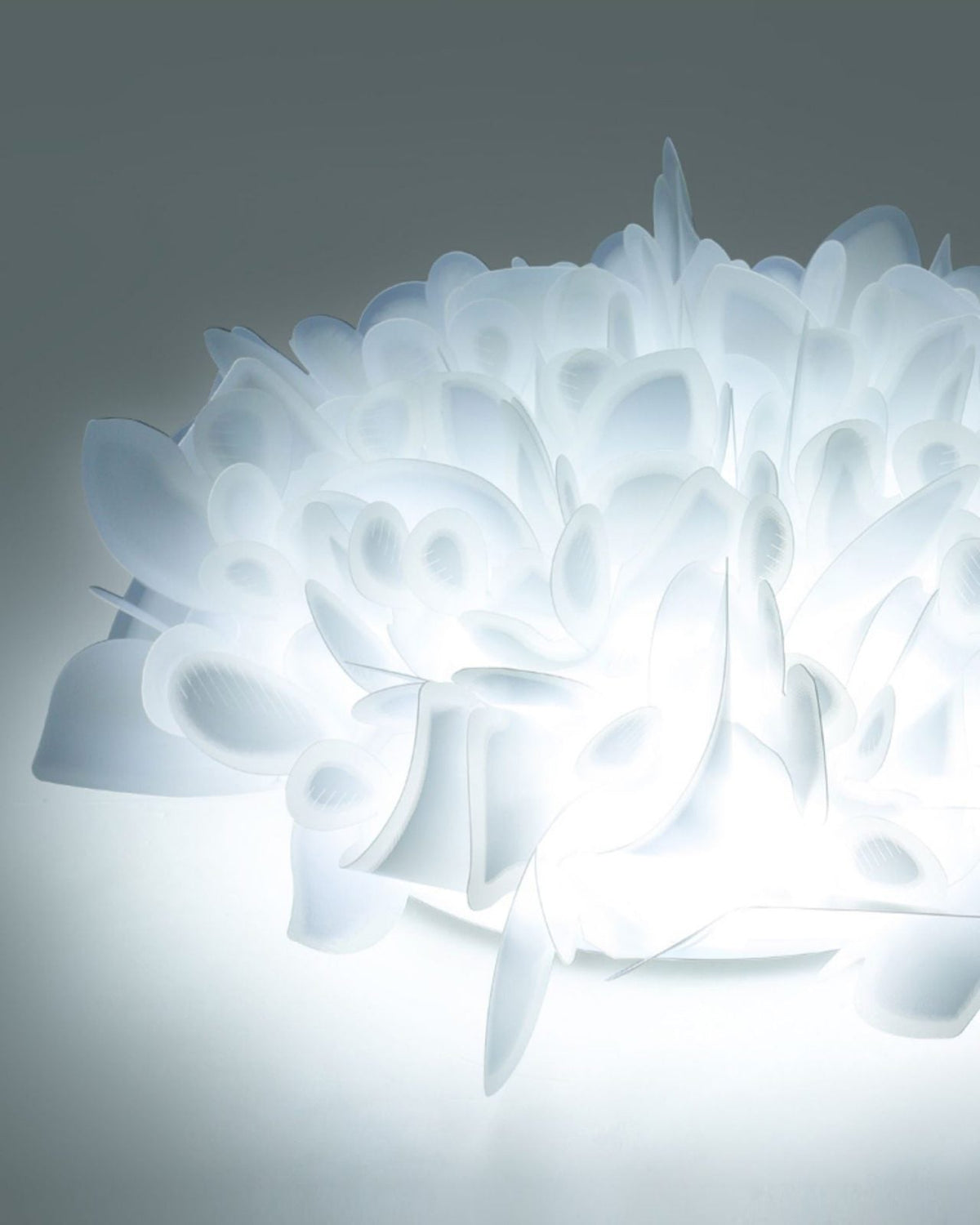 Romantic Petal Ceiling Lamp