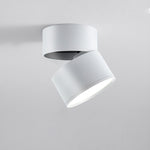 Round Folding Revolving Downlight