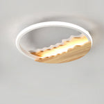 Round Wood Grain Wave Ceiling Lamp