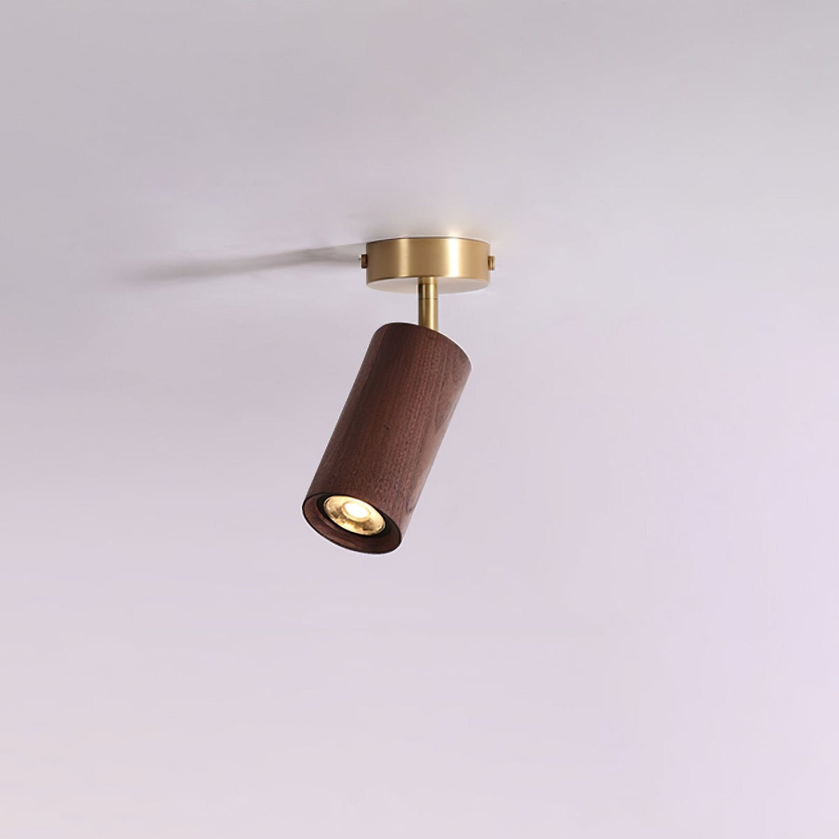 Rowan Ceiling Light in Walnut and Brass, Modern Track Lighting
