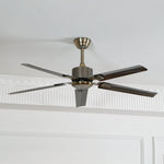 Rozzen Ceiling Fan