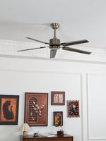 Rozzen Ceiling Fan