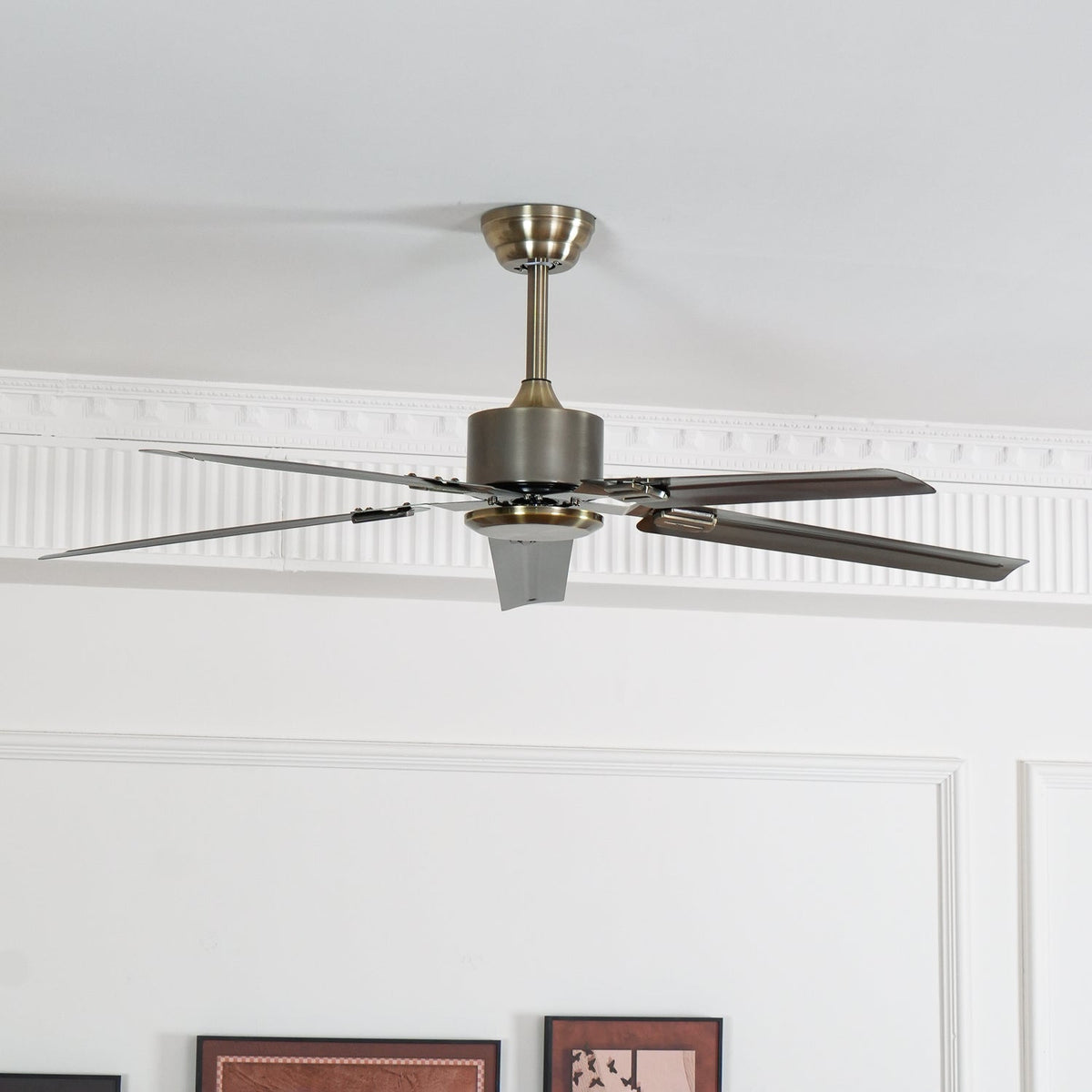 Rozzen Ceiling Fan