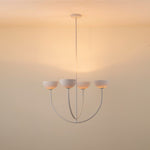 ruzo-chandelier