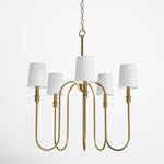 sanibel-chandelier