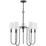 sanibel-chandelier