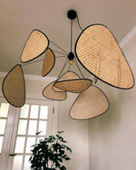 screen-cannage-suspension