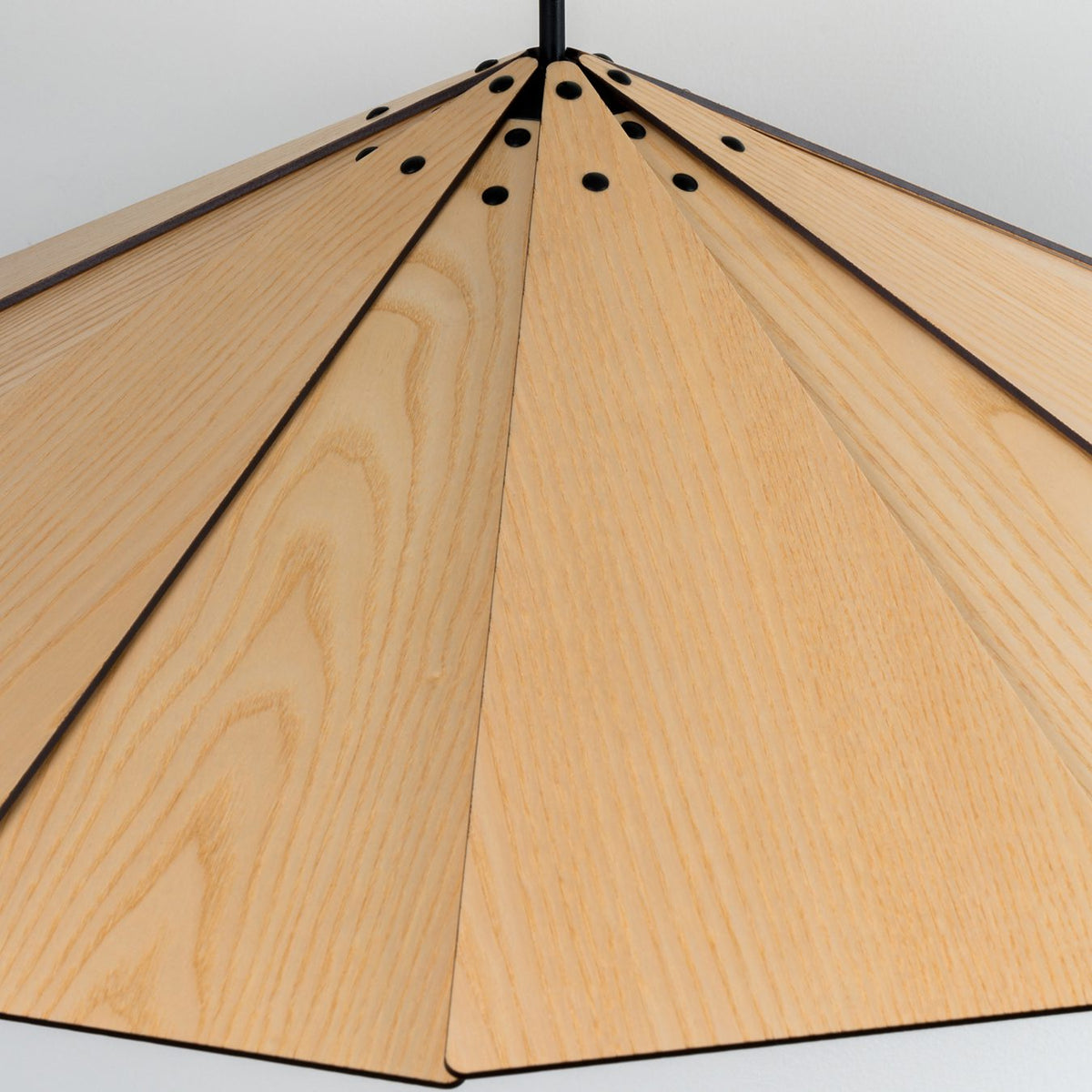 Sepal Pendant Lamp