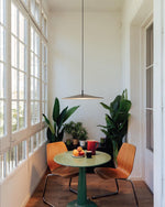 Sepal Pendant Lamp