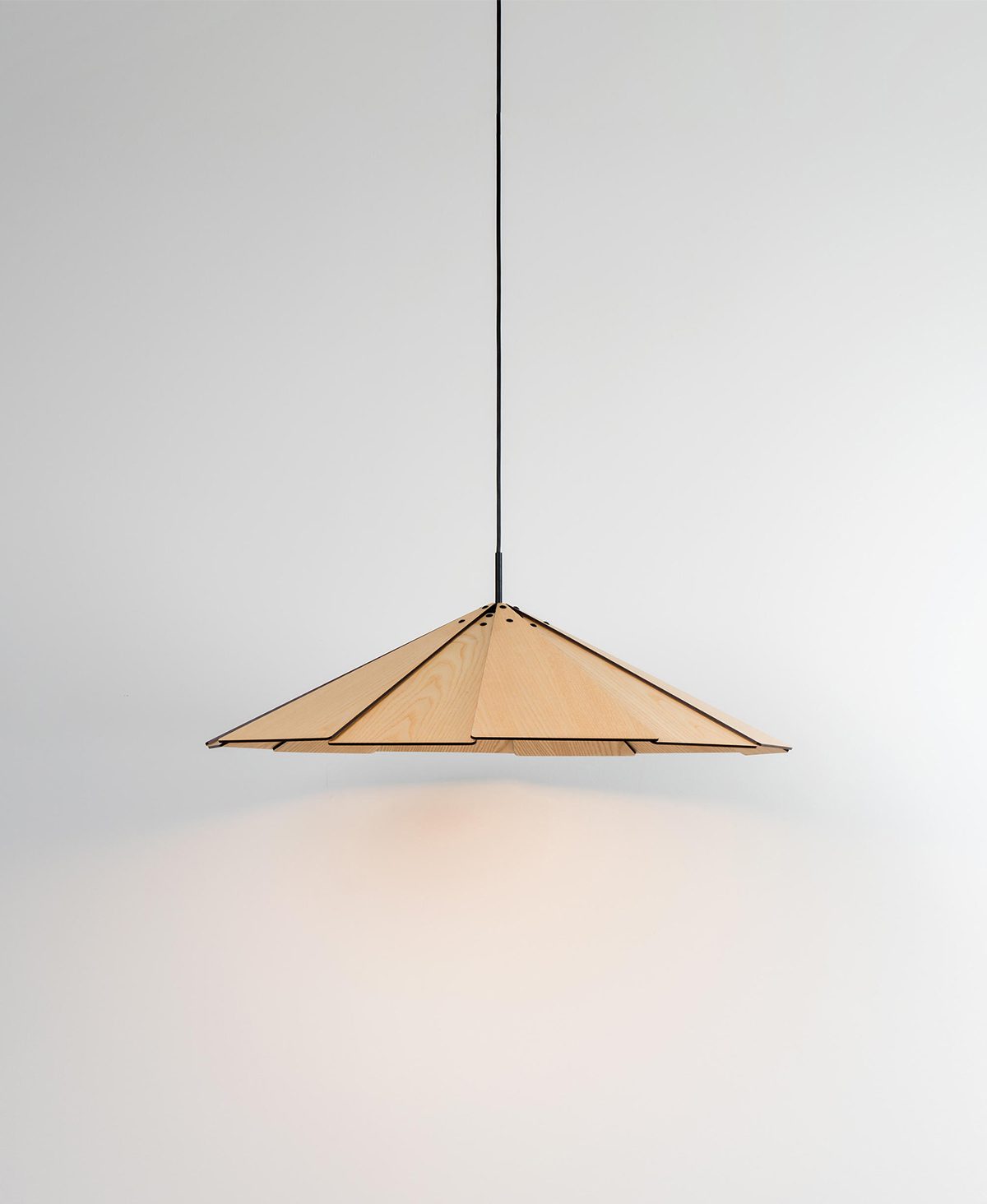 Sepal Pendant Lamp