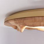 sky-lake-ceiling-lamp