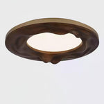 sky-lake-ceiling-lamp