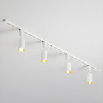 Sleek Cylinder Track Light