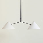 slide-2-arm-pendant-lamp