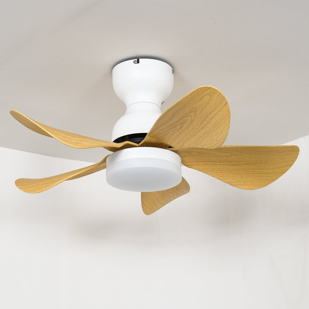 Arilia 29" LED Ceiling Fan Light with Walnut Blades