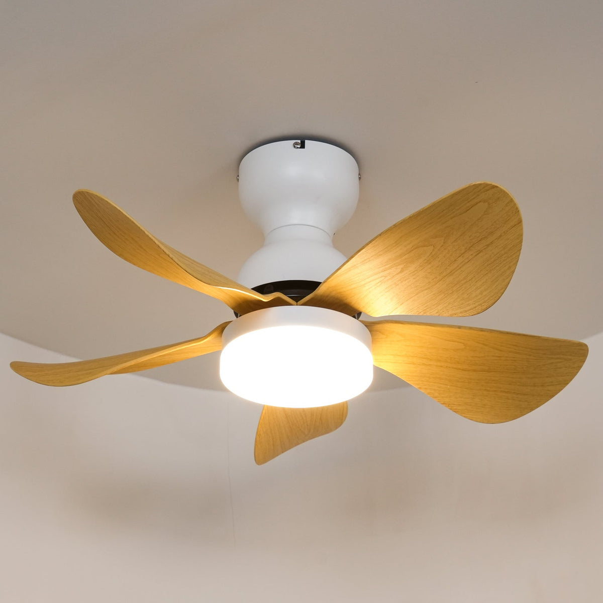 Arilia 29" LED Ceiling Fan Light with Walnut Blades