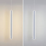 Spiral LED Pendant Light