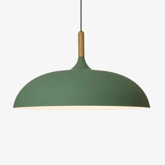 Modern Simple Dome Pendant Light