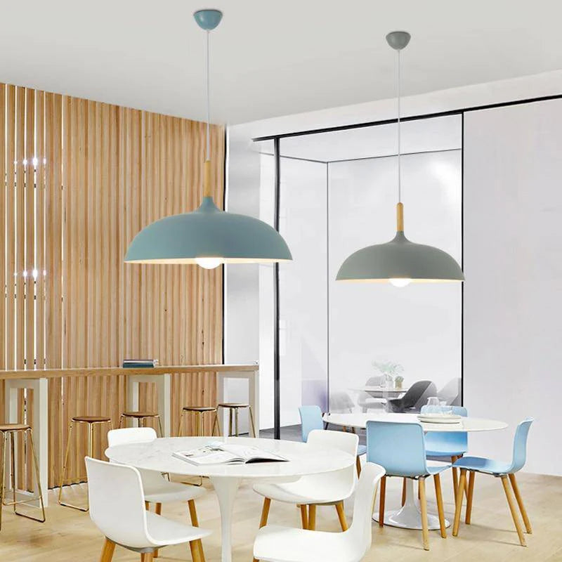 Modern Simple Dome Pendant Light