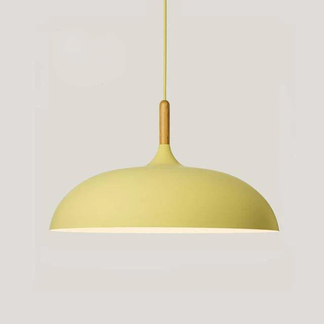 Modern Simple Dome Pendant Light