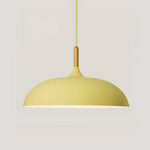 Modern Simple Dome Pendant Light