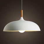 Modern Simple Dome Pendant Light