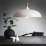 Modern Simple Dome Pendant Light