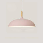 Modern Simple Dome Pendant Light