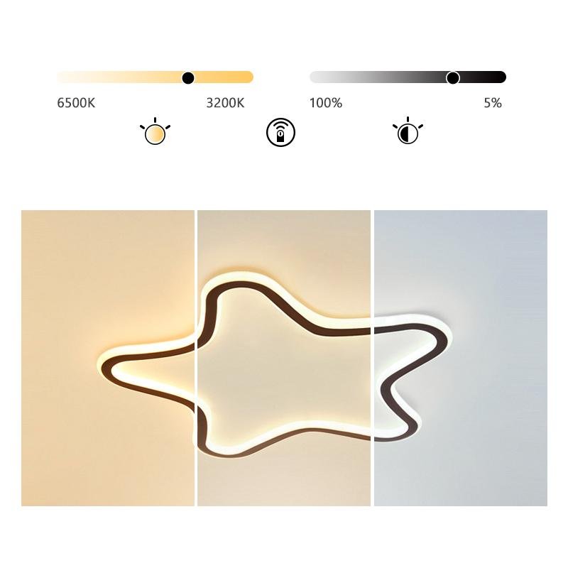 Lighting Ceiling Lights Flush Mount Lighting_Tli00078
