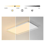 Lighting Ceiling Lights Flush Mount Lighting_Tli00089