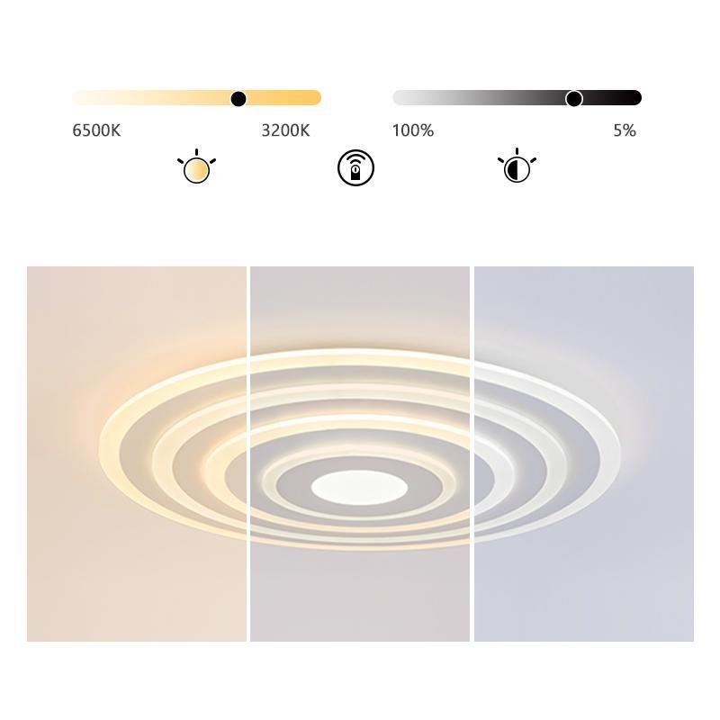 Lighting Ceiling Lights Flush Mount Lighting_Tli00103