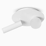 Lighting Ceiling Lights Flush Mount Lighting_Tli00156