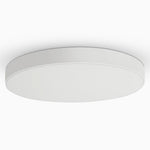 Lighting Ceiling Lights Flush Mount Lighting_Tli00157
