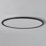 Lighting Ceiling Lights Flush Mount Lighting_Tli00213