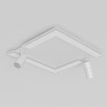 Lighting Ceiling Lights Flush Mount Lighting_Tli00221