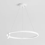Lighting Ceiling Lights Chandeliers_Tli00230