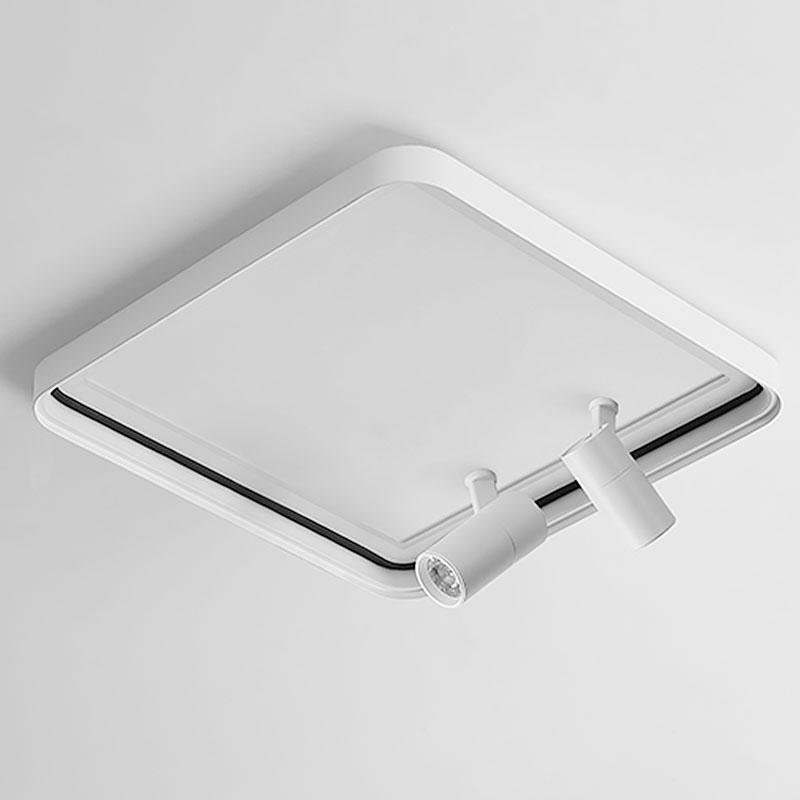 Lighting Ceiling Lights Flush Mount Lighting_Tli00241
