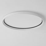 Lighting Ceiling Lights Flush Mount Lighting_Tli00250