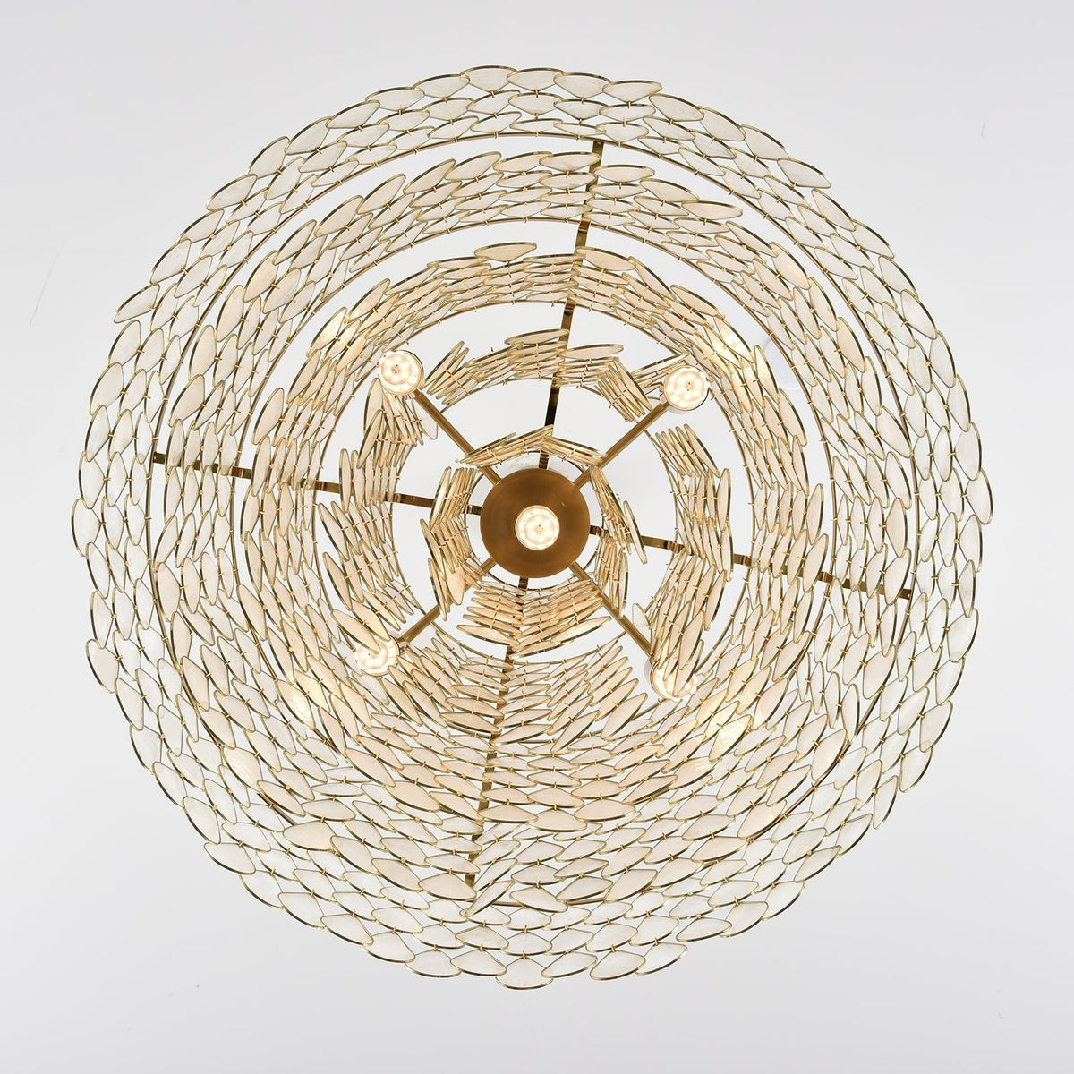 Teardrop Shell Chandelier in Gold Finish with Natural Shell Shades