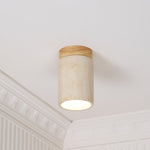 terra-cylinder-ceiling-light