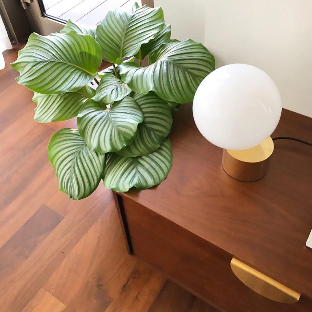 Tip Of The Tongue Table Lamp